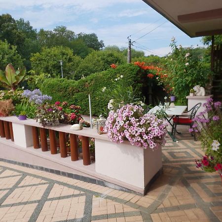 Apartament Au Repos Des Remparts Wissembourg Zewnętrze zdjęcie